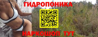 ГАЛЛЮЦИНОГЕННЫЕ ГРИБЫ Новодвинск