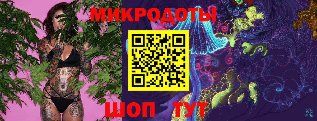 Псилоцибиновые грибы Psilocybine cubensis Строитель